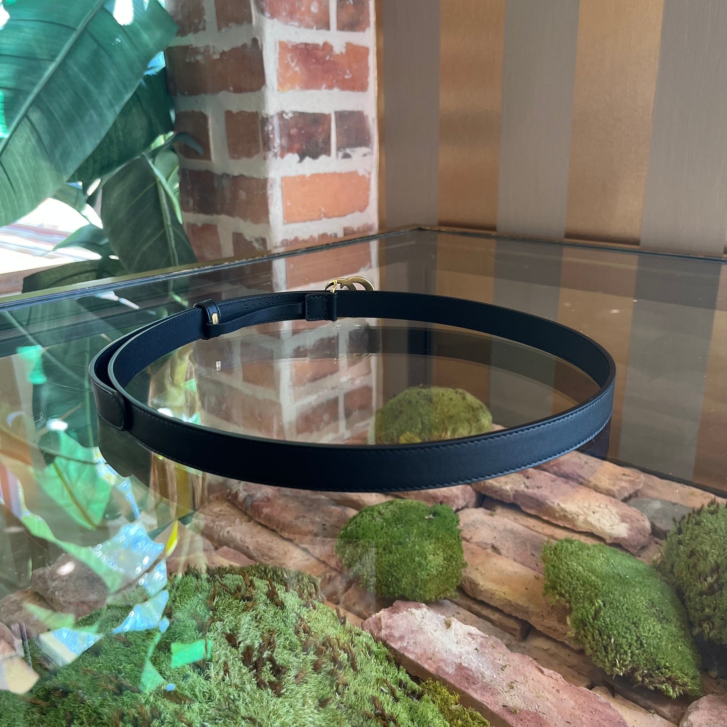GUCCI GG Marmont Thin Black Leather Belt 95/38