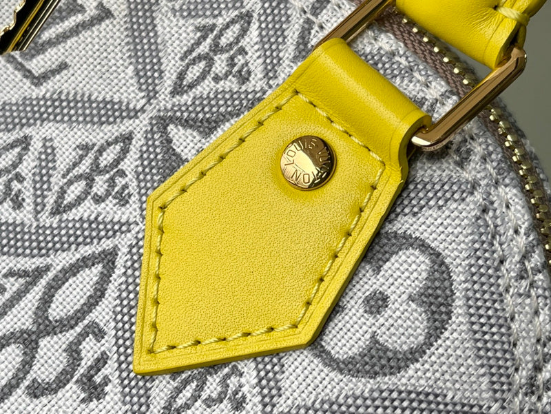 Alice bags - Louis Vuittons  - 15691