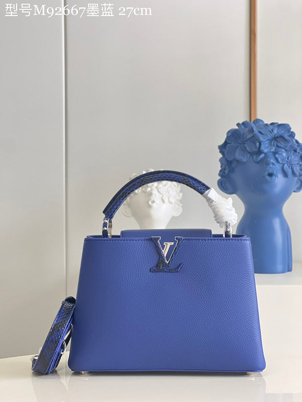 Alice Bags- Louis Vuittons  - 16598