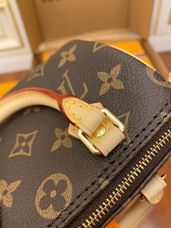 Alice Bags- Louis Vuittons  - 16199
