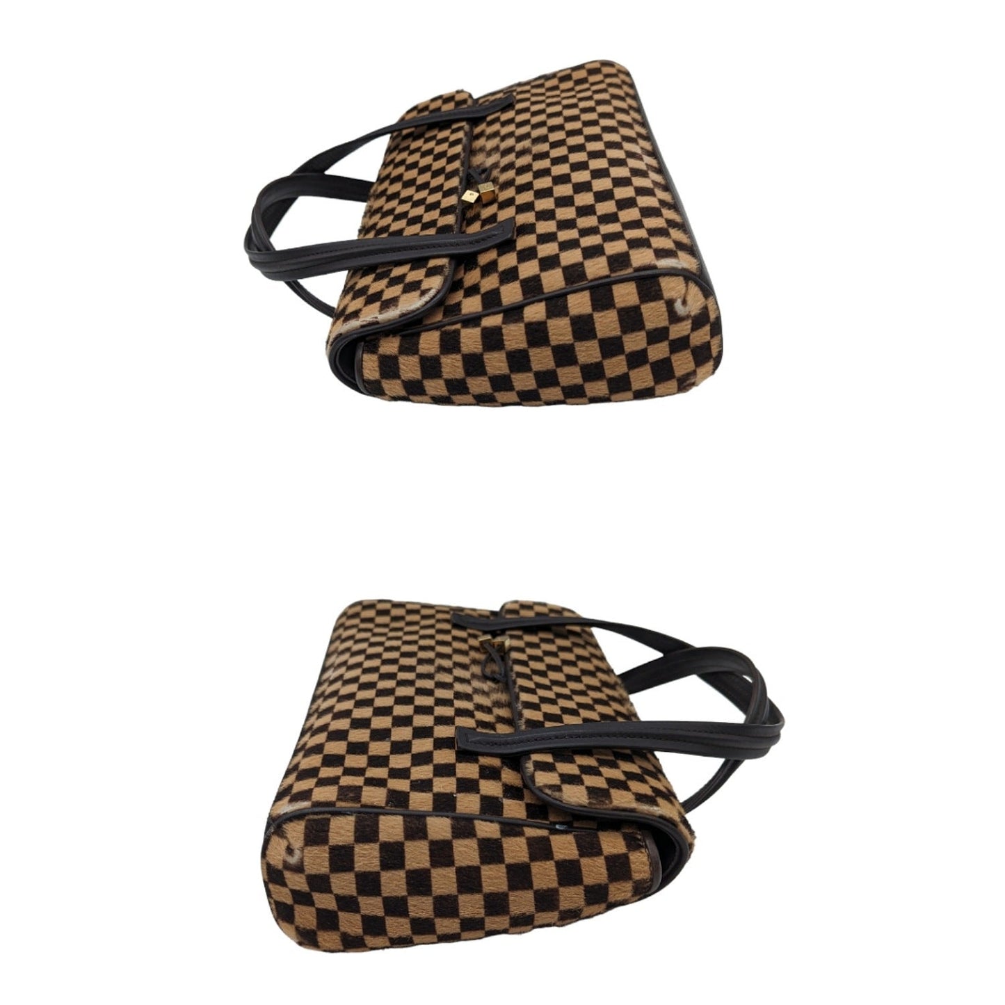 Louis Vuitton Damier Sauvage Lionne Handbag