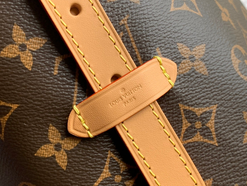 Alice Bags- Louis Vuittons  - 16036