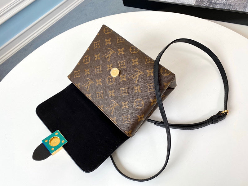 Alice Bags- Louis Vuittons  - 16351