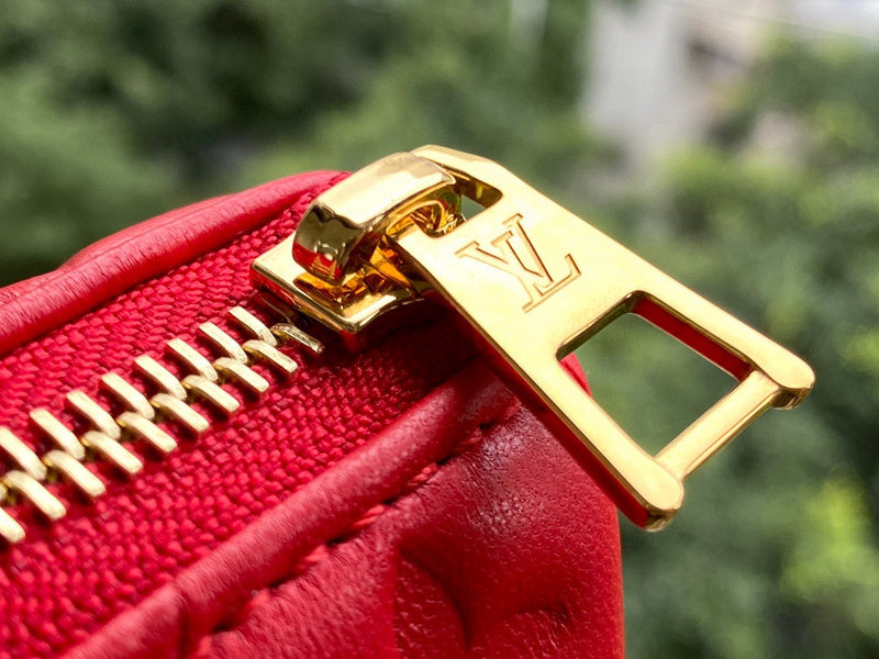 Alice Bags- Louis Vuittons  - 16333