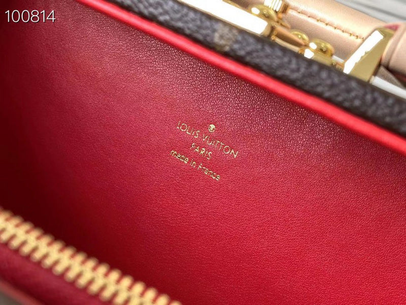 Alice Bags- Louis Vuittons  - 16511