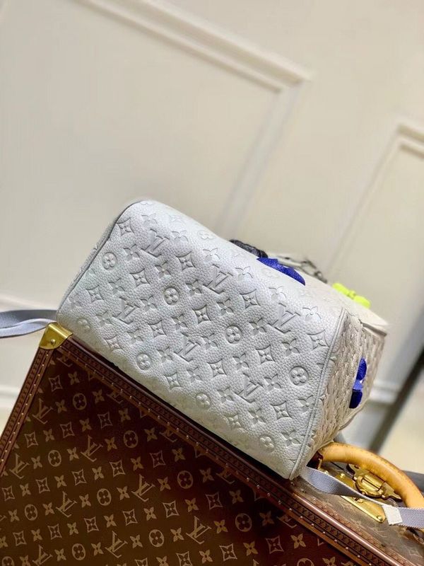 Alice Bags- Louis Vuittons  - 16221
