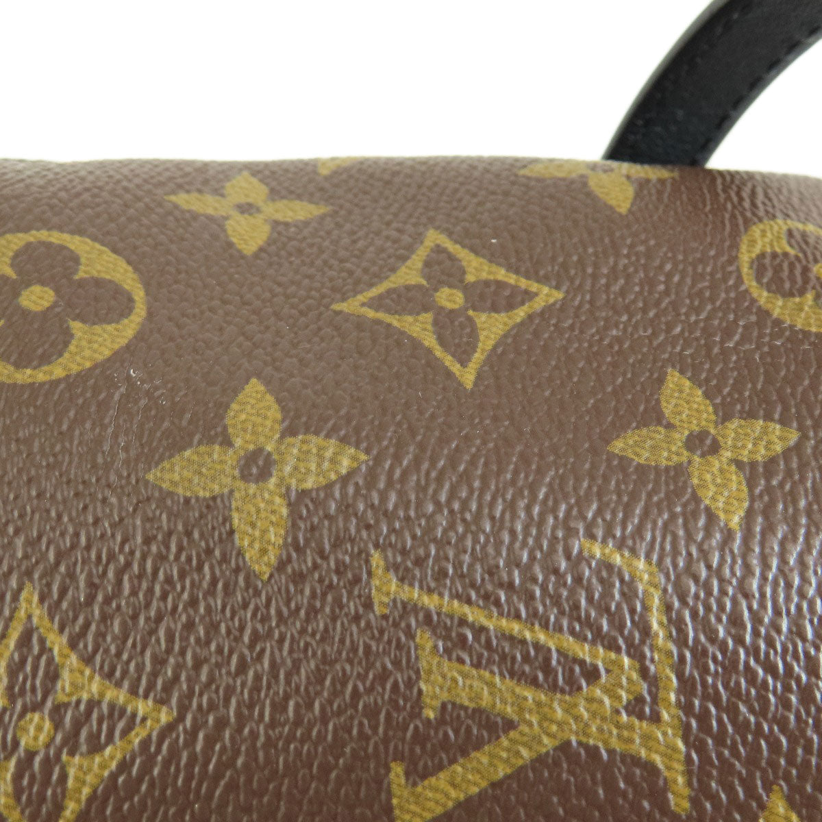 LOUIS VUITTON Backpack M44871 Monogram canvas Brown Palm Springs Monogram Women Used