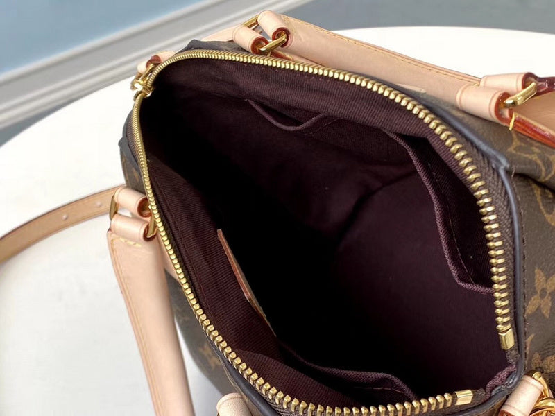 Alice Bags- Louis Vuittons  - 16495