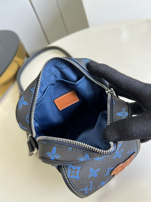 Alice Bags- Louis Vuittons  - 16313