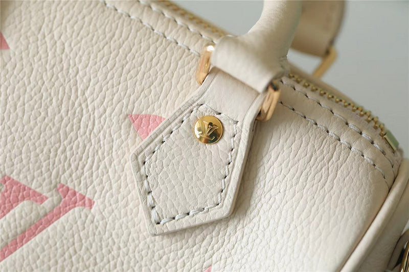 Alice bags - Louis Vuittons  - 6610