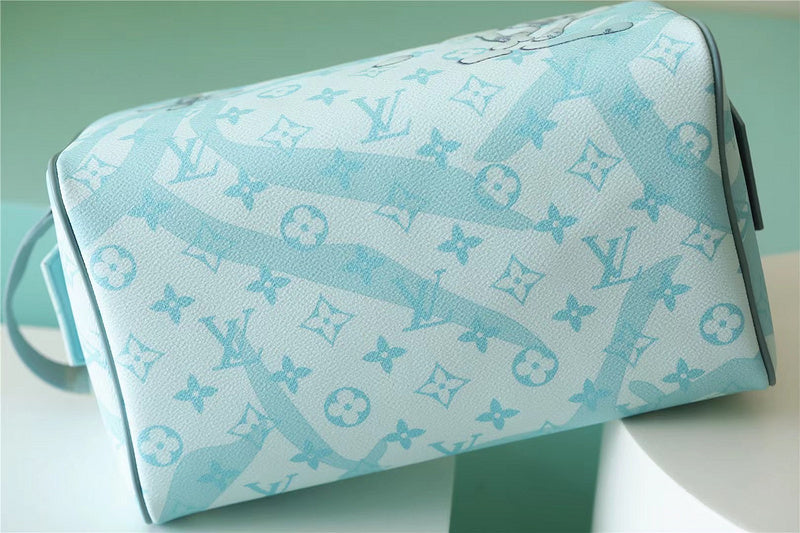 Alice bags - Louis Vuittons  - 10666