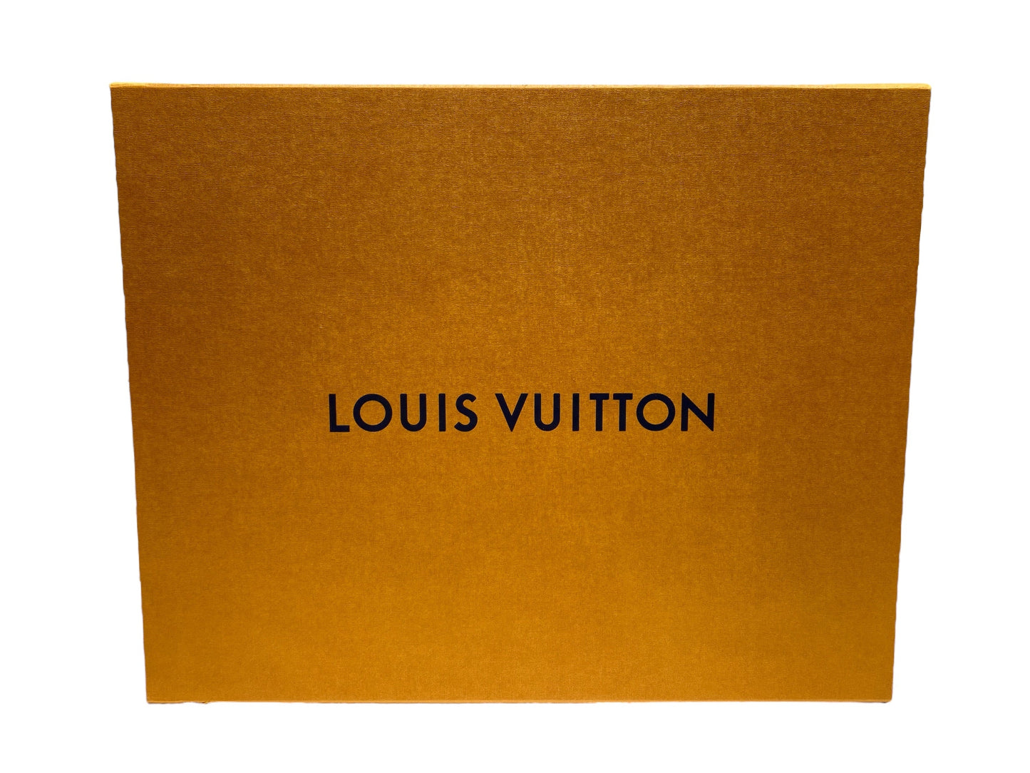 HandBag Luxury Designer Louis Vuitton, Size Large