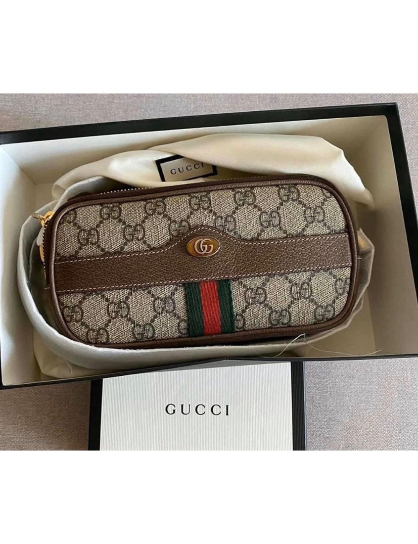 Gucci Ophidia Series GG Mini Shoulder Bag