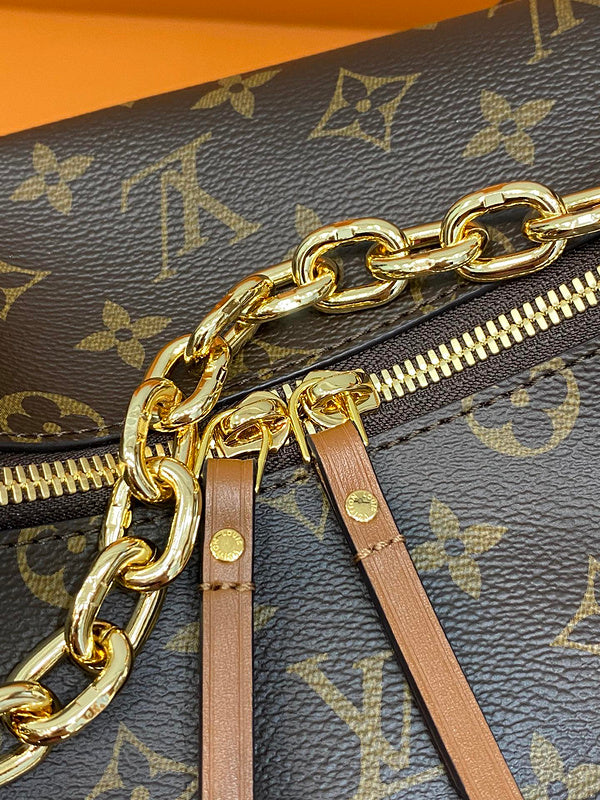 Alice Bags- Louis Vuittons  - 16123