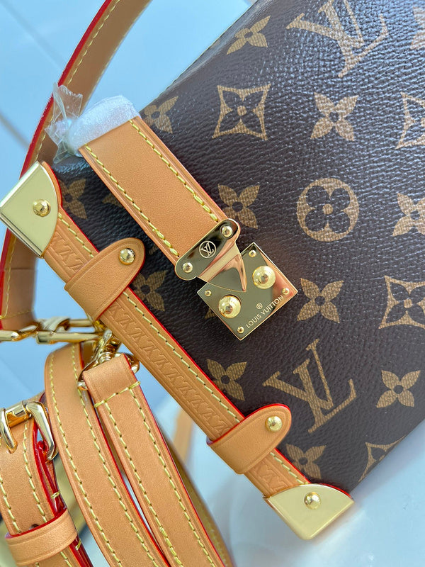 Alice Bags- Louis Vuittons  - 16108