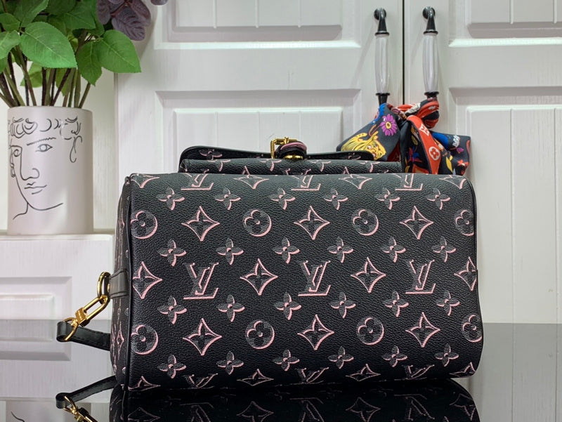 Alice Bags- Louis Vuittons  - 16378