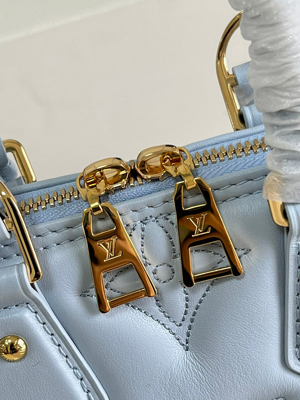 Alice Bags- Louis Vuittons  - 16713
