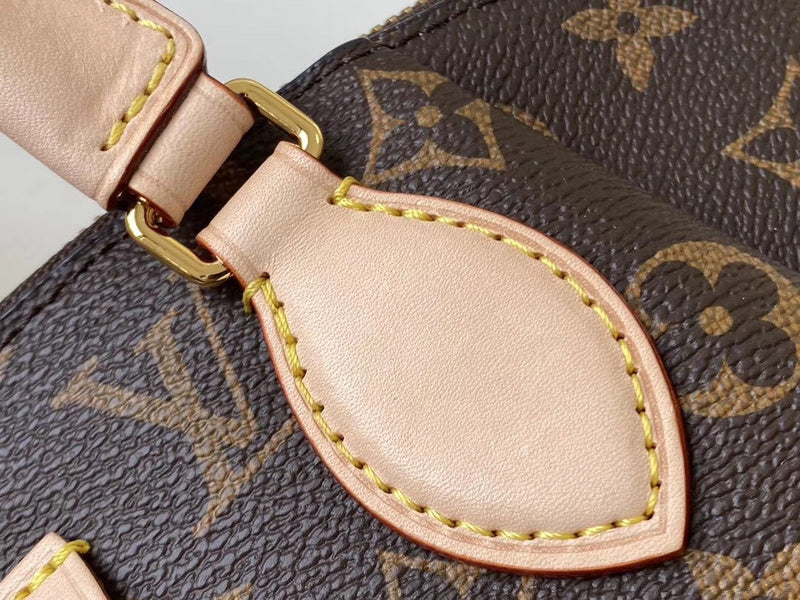 Alice Bags- Louis Vuittons  - 16495