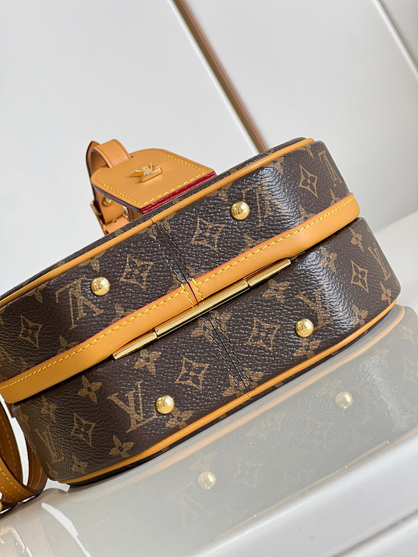 Alice Bags- Louis Vuittons  - 16125