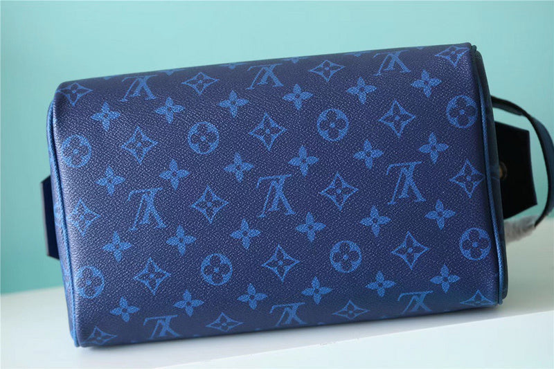 Alice bags - Louis Vuittons  - 10667
