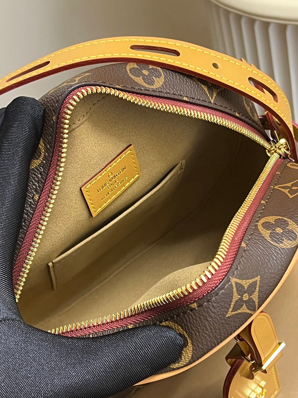 Alice Bags- Louis Vuittons  - 16142