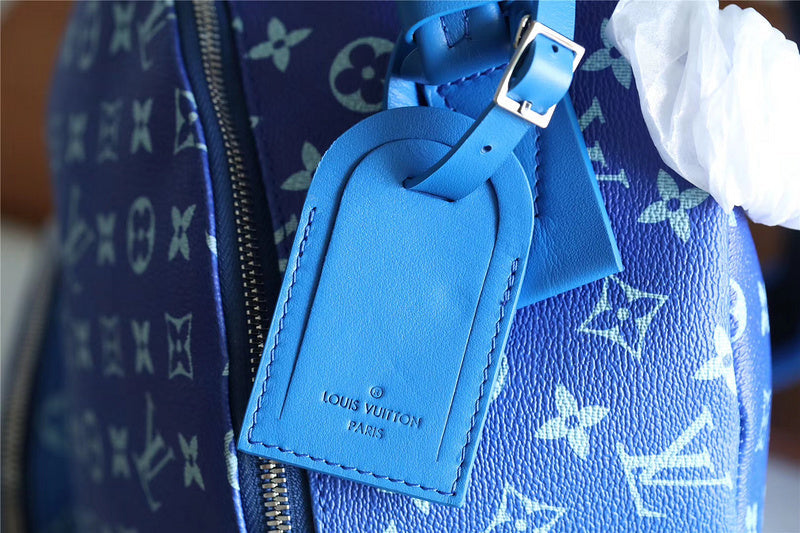 Alice bags - Louis Vuittons  - 9634