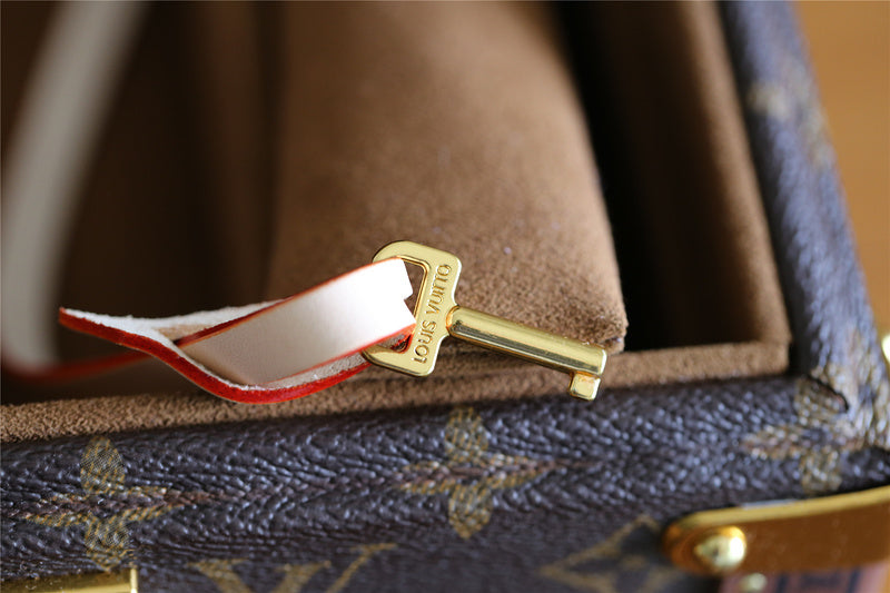 Alice bags - Louis Vuittons  - 9551