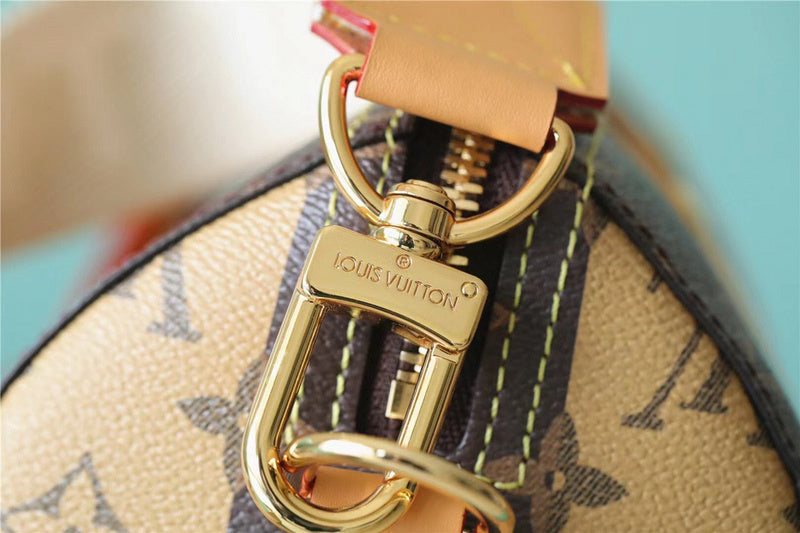 Alice bags - Louis Vuittons  - 11229