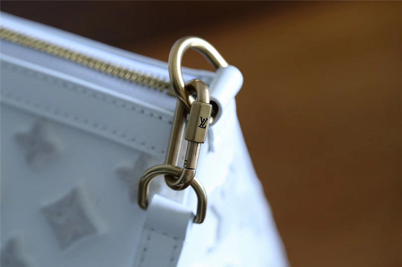 Alice bags - Louis Vuittons  - 10420