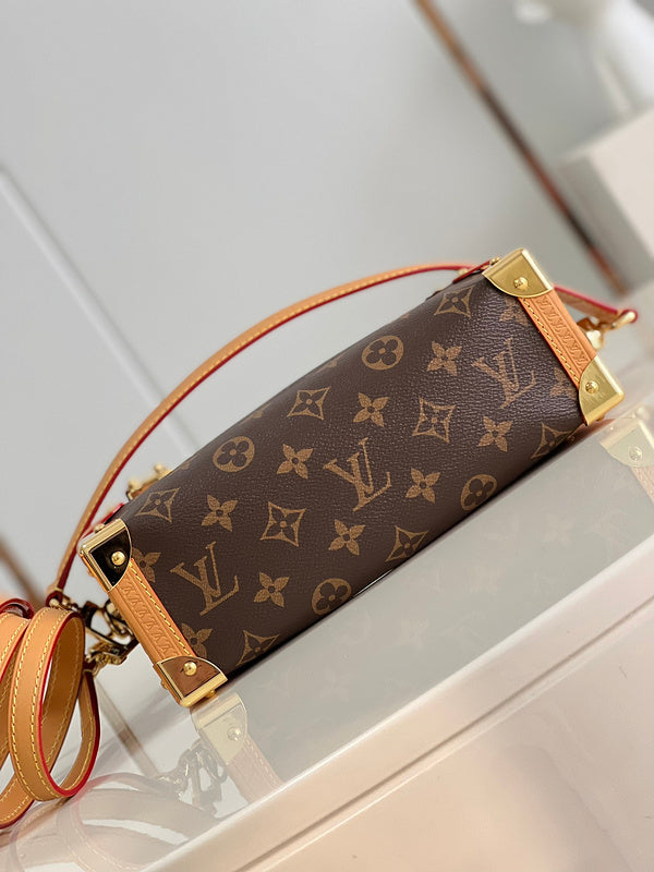 Alice Bags- Louis Vuittons  - 16108