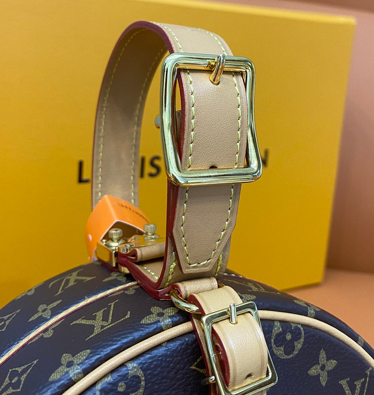 Alice Bags- Louis Vuittons  - 16135
