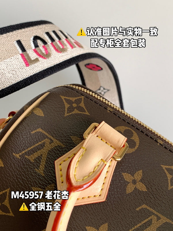 Alice Bags- Louis Vuittons  - 16455