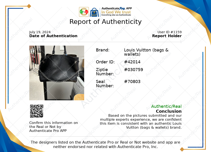HandBag Luxury Designer Louis Vuitton, Size Large