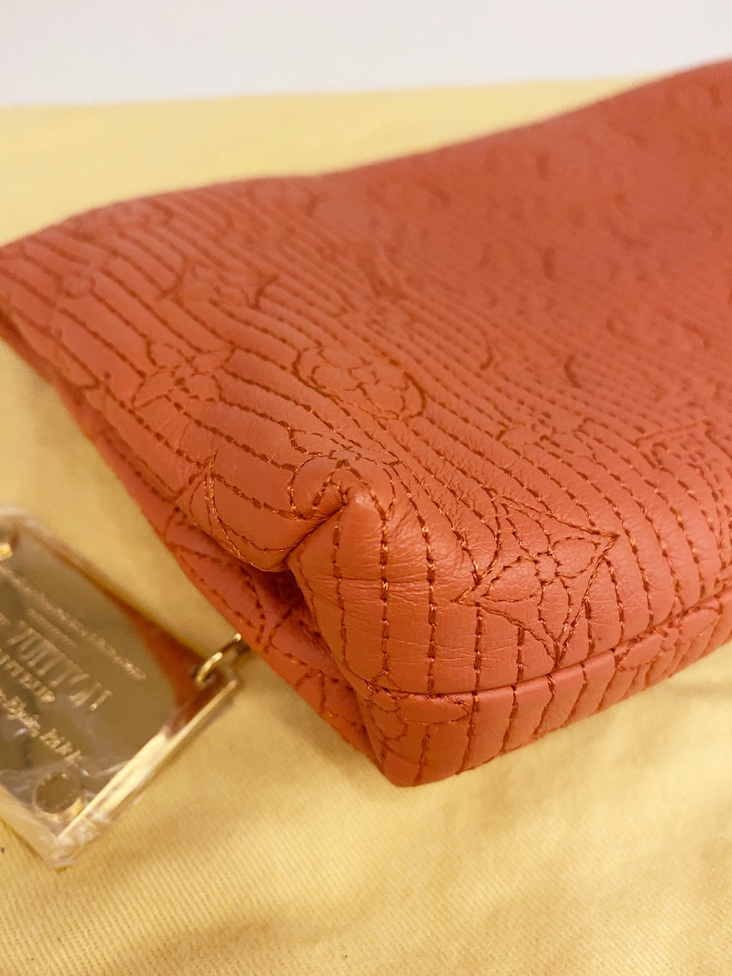 Louis Vuitton Clutch TWS pop