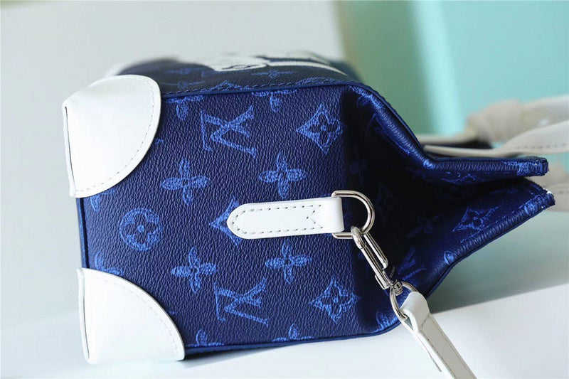 Alice bags - Louis Vuittons  - 10254