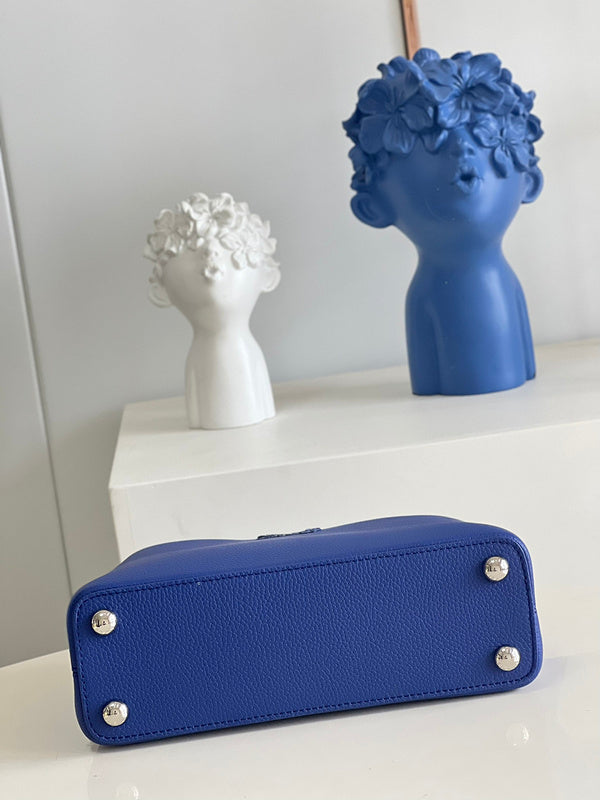 Alice Bags- Louis Vuittons  - 16598