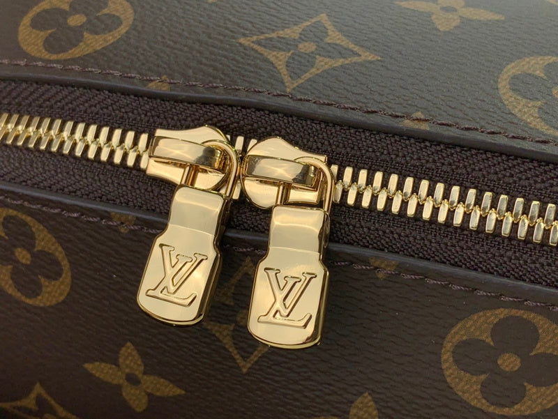 Alice bags - Louis Vuittons  - 15810