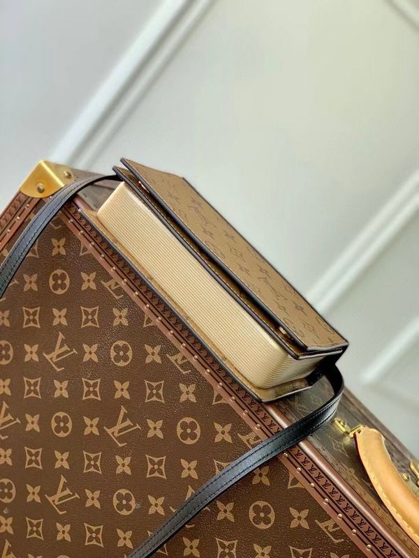 Alice Bags- Louis Vuittons  - 15972