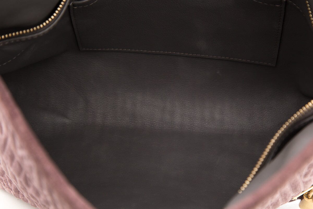Louis Vuitton 2008 Python Trimmed Suede Whisper HandBag