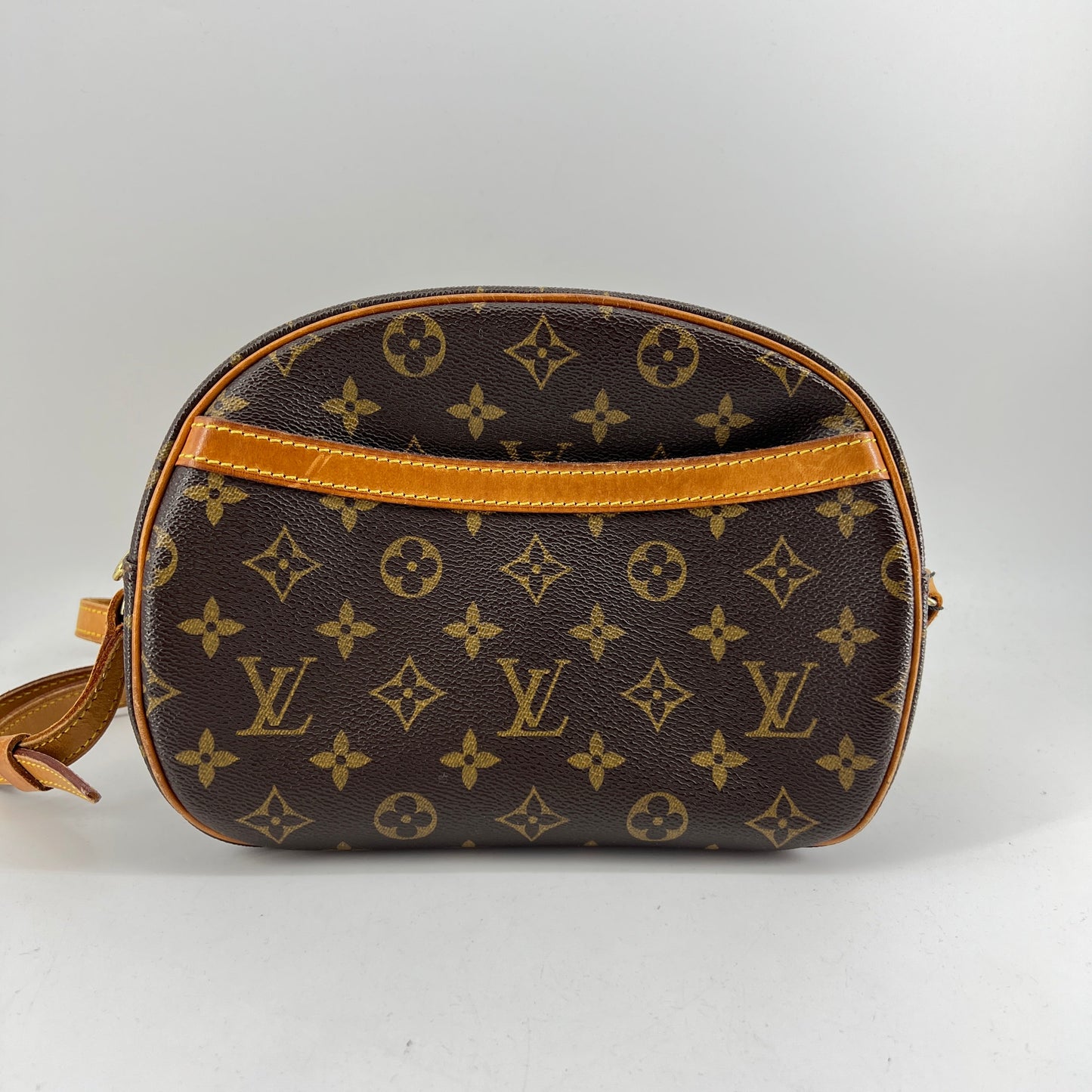 Louis Vuitton Blois Crossbody Bag TWS pop