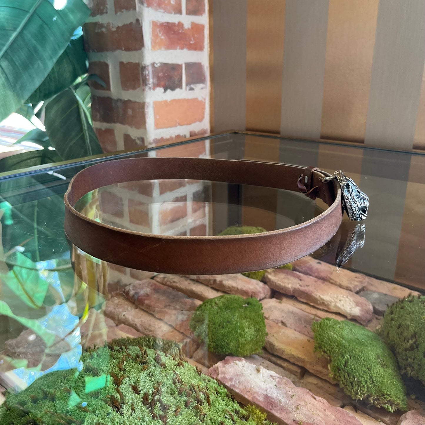 GUCCI Tiger Head Buckle Brown Raw Leather Belt 85/34