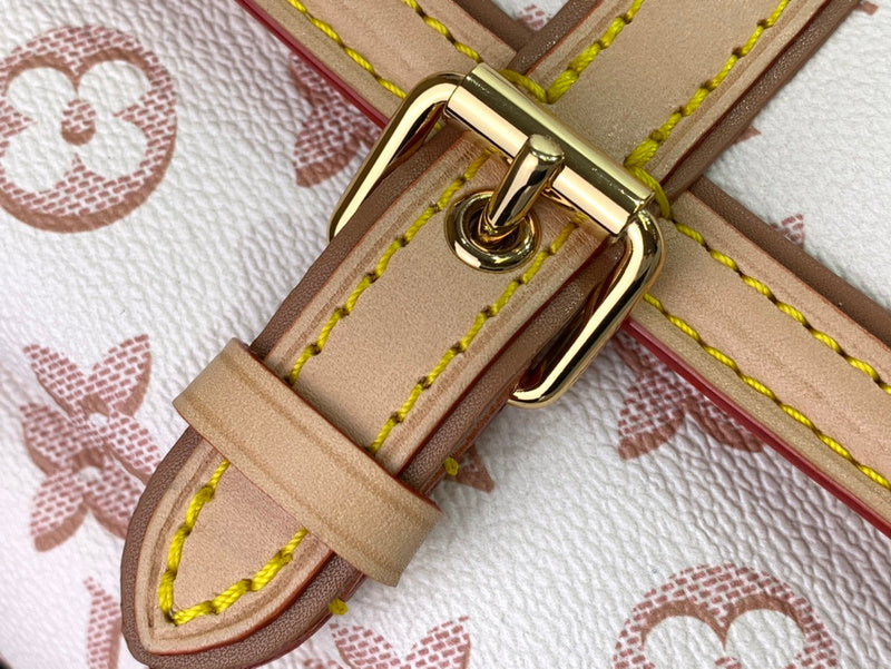 Alice Bags- Louis Vuittons  - 16377