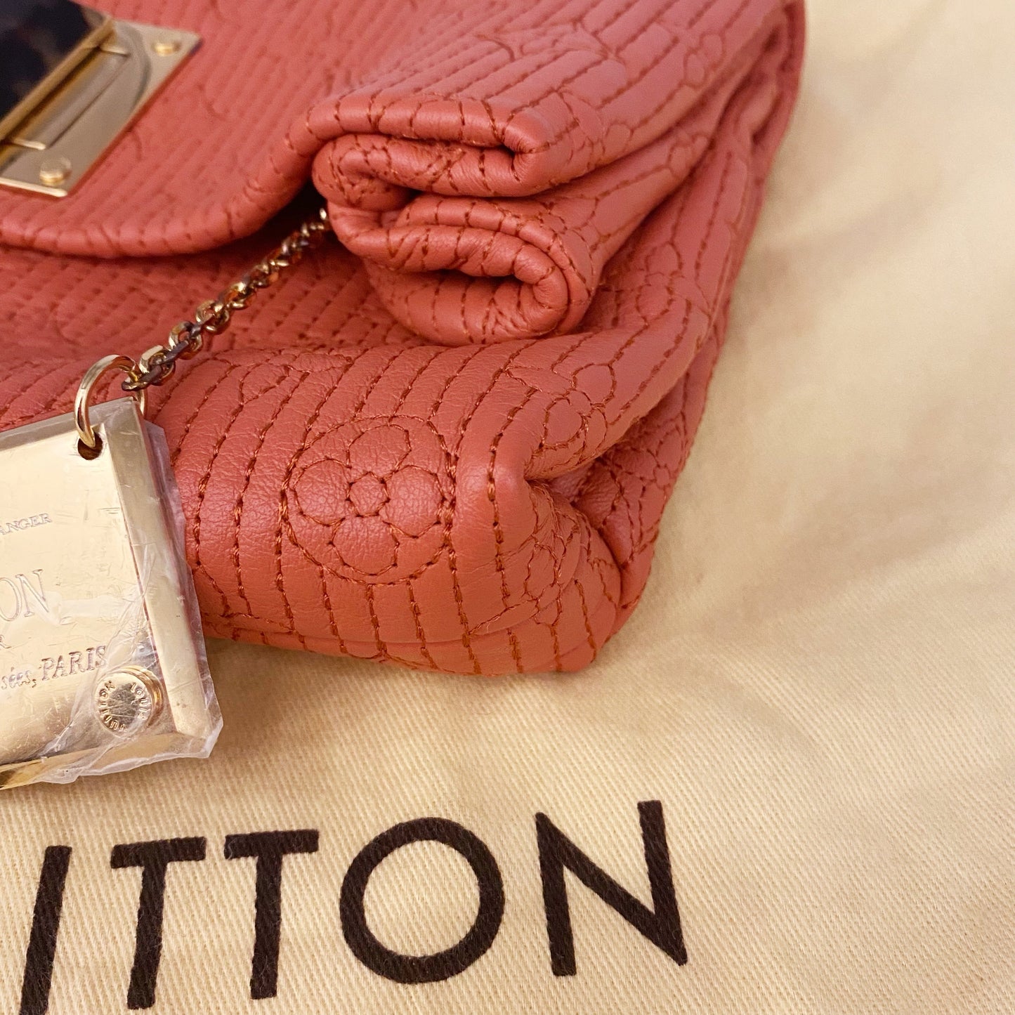 Louis Vuitton Clutch TWS pop
