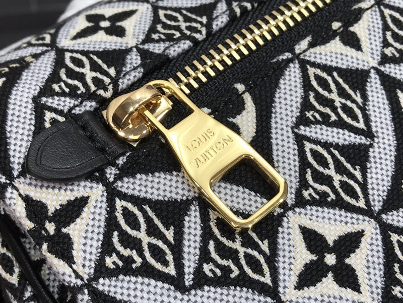 Alice Bags- Louis Vuittons  - 16162