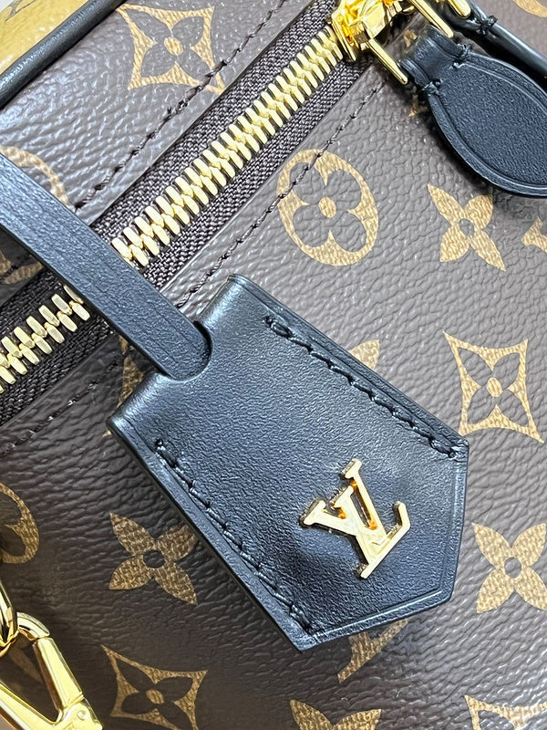 Alice  Bags- Louis Vuittons  - 16145