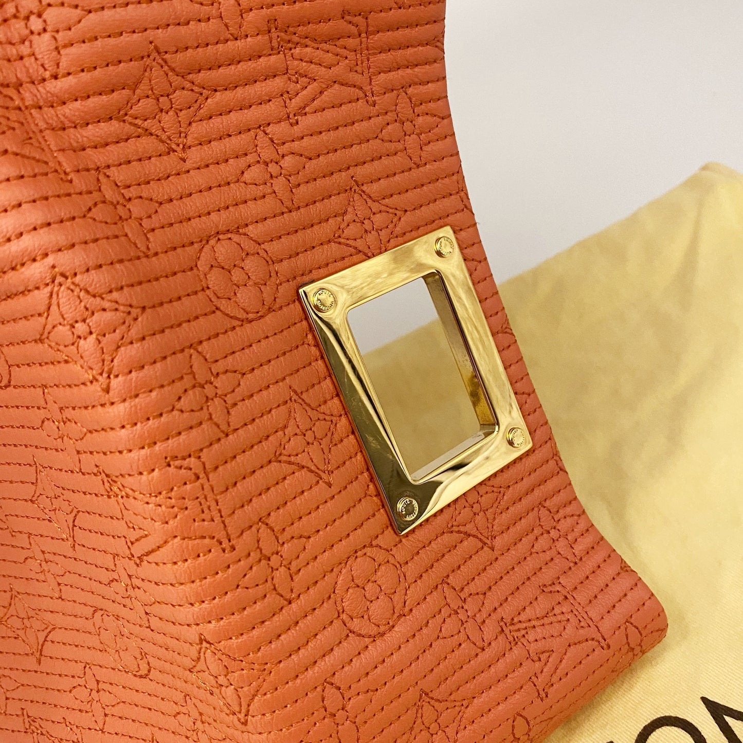 Louis Vuitton Clutch TWS pop
