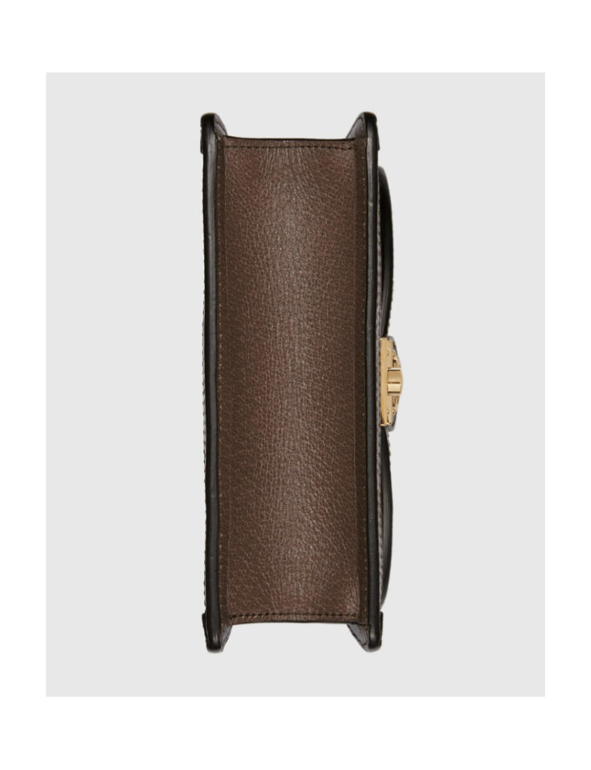 Gucci Ophidia Series GG Mini Shoulder Bag