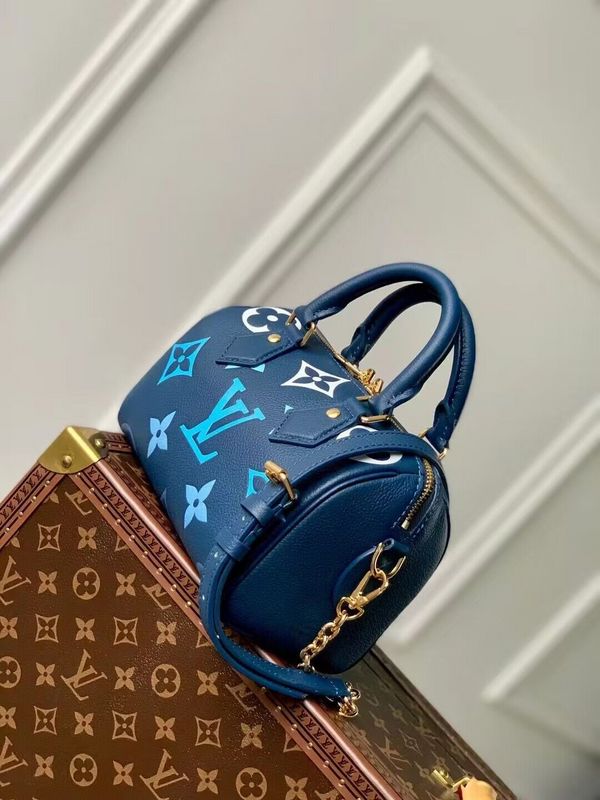 Alice bags - Louis Vuittons  - 15364