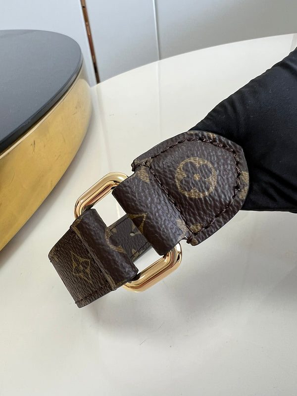 Alice Bags- Louis Vuittons  - 16106