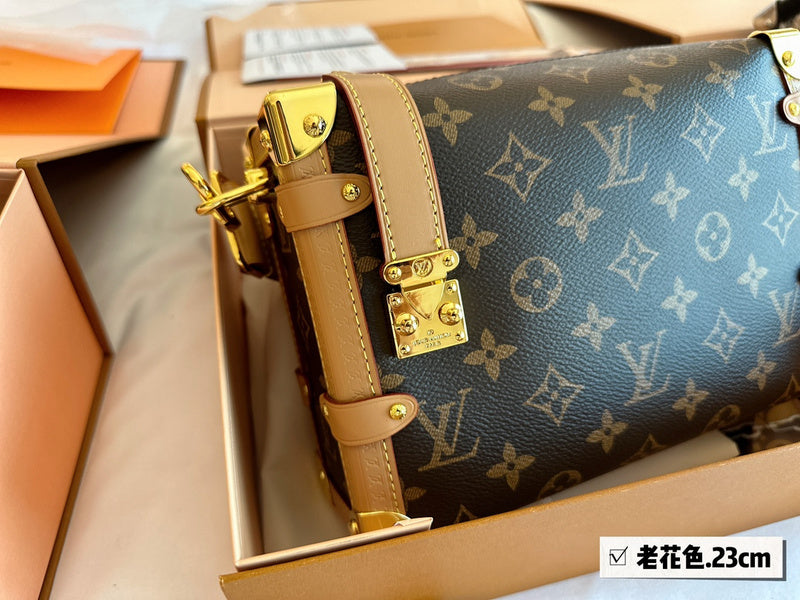 Alice bags - Louis Vuittons  - 15116